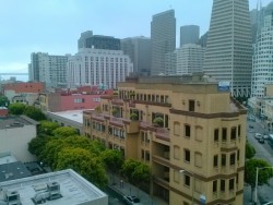 Skyline Agent San Francisco SF