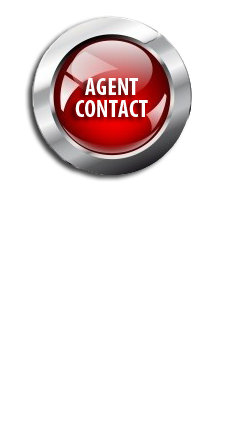 Agent San Francisco Real Estate SF Agent San Francisco Real Estate SF